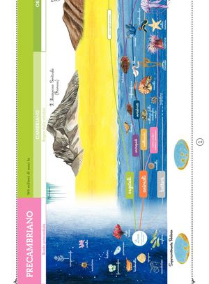 Striscia Della Comparsa Della Vita Sulla Terra Ok (3)