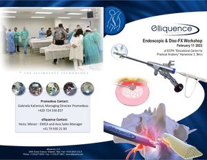 11 February 2022 Elliquence Workshop Flyer Ecpa Brno