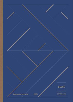 Rapport D'activité 2021