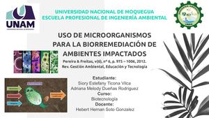 Uso De Microorganismos Para La Biorremediación