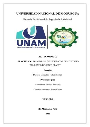 Practica N 04 Analisis De Secuencias De Adn Y Uso Del Banco De Genes Blast