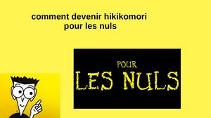 comment devenir hikikomori  pour les nuls