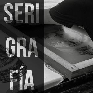 Brenda Catalogo Serigrafia