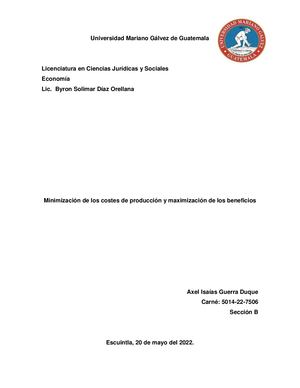 Minimización De Los Costes De Producción Y Maximización De Los Beneficios