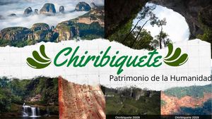 El Parque Nacional Natural Sierra De Chiribiquete