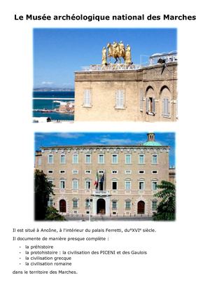 Calaméo Museo Archeologico Delle Marche