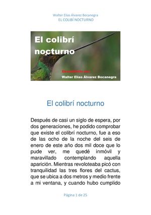 El Colibrí Nocturno