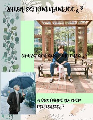 Quien Es Kim Namjoon Trabajo Compu