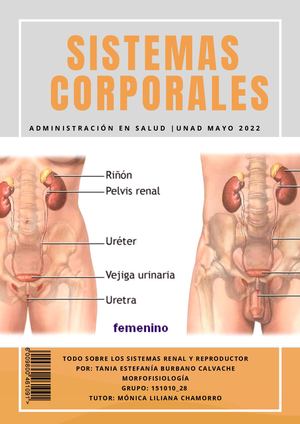 Revista Sistemas Corporales Tania Burbano