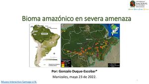 Bioma amazónico en severa amenaza.