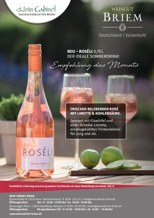 Expertise Briem Roseli