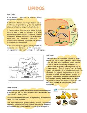 Lipidos (1)