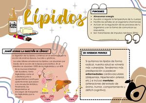 Semana 7 Lipidos