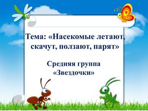 презентация насекомые