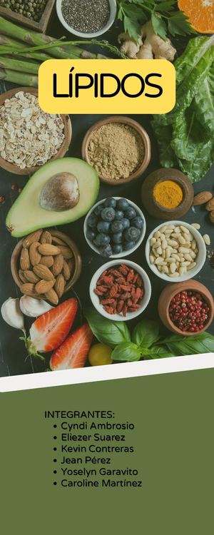 Los Lípidos Infografía (1)