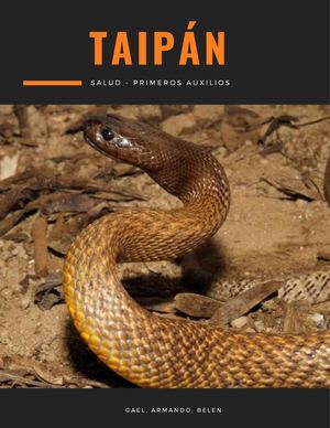 Revista Serpiente Taipan