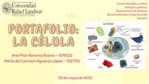 Portafolio La Célula