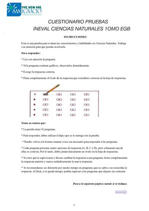 Prueba Modelo Cn 10mo Egb Out