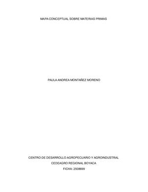 Mapa Conceptual Materias Primas