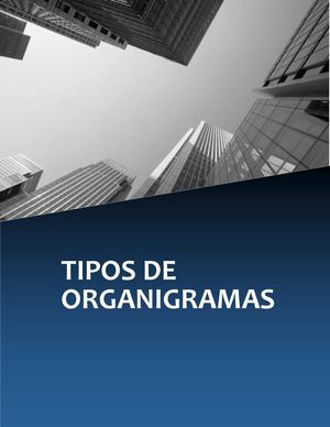 Tipos De Organigramas