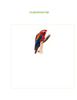 La Guacamaya Roja