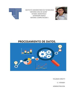 Procesamiento De Datos Yolanda Orsetti Administracion