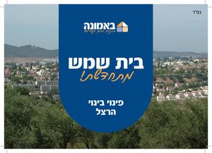 חוברת תדמית פינוי בינוי