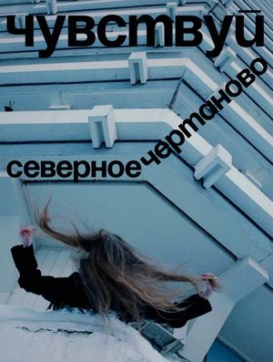 Чувствуй Чертаново