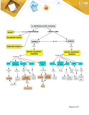 Sistema reproductor y tegumentario