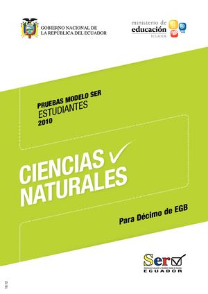 Vladilena Lapina-Cuestionario modelo INEVAL-CCNN