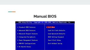 Manual Bios