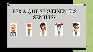 Per A Què Serveixen Els Sentits