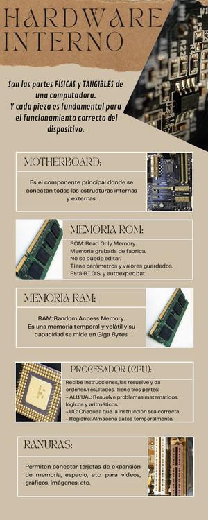 Hardware Interno - Infografía