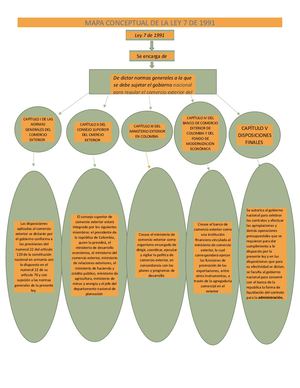 Mapa Conceptual y Resumen  De La Ley 7 De 1991