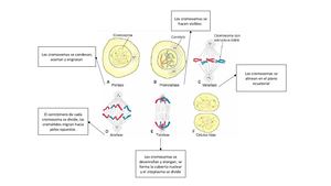 Imagenes Para El Portafolio