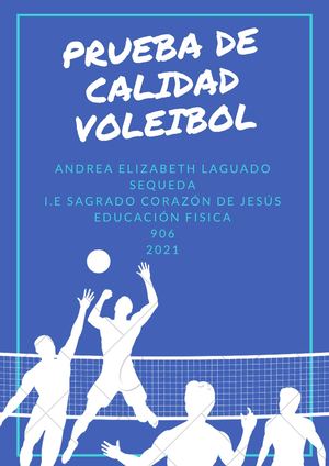 Voleibol
