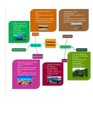 Mapa Mental Ecosistema