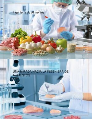 Una Mira Hacia La Ingenieria