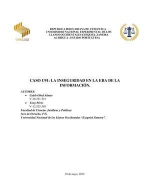 Caso U91: La Inseguridad En La Era De La Información