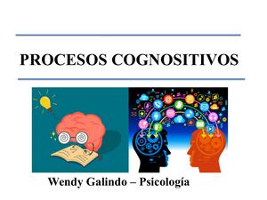 Procesos Cognositivos Wendy