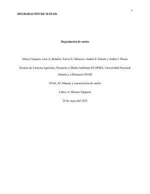 Degradación de suelos