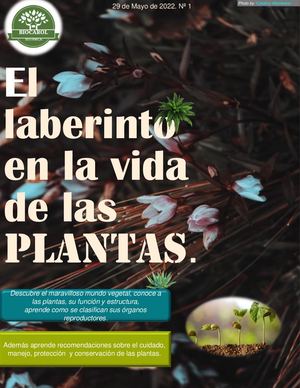 Revista Virtual Botanica