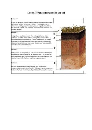 Les Différents Horizons D’un Sol