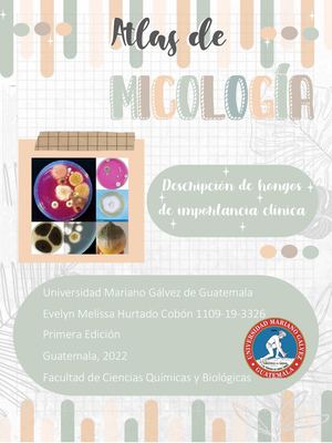 Atlas De Micología Médica