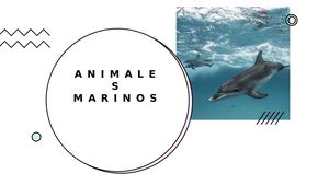 Animales Marinos