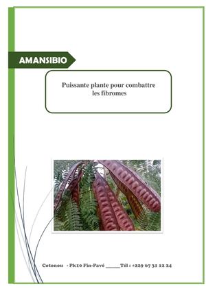 Puissante Plante Pour Combattre Les Fibromes