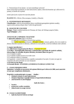 Calaméo - Svt Projet Plantes