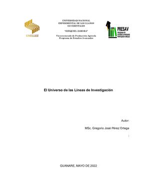 Ensayo Lineas Investigacion