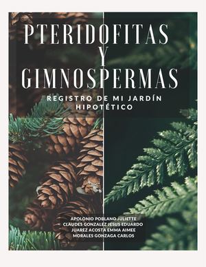 Pteridofitas y Gimnospermas: Registro de mi jardín hipotético
