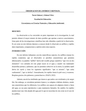 Observación De Anfibios Y Reptiles